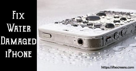 Your iPhone Fell in Water? What Should You Do?