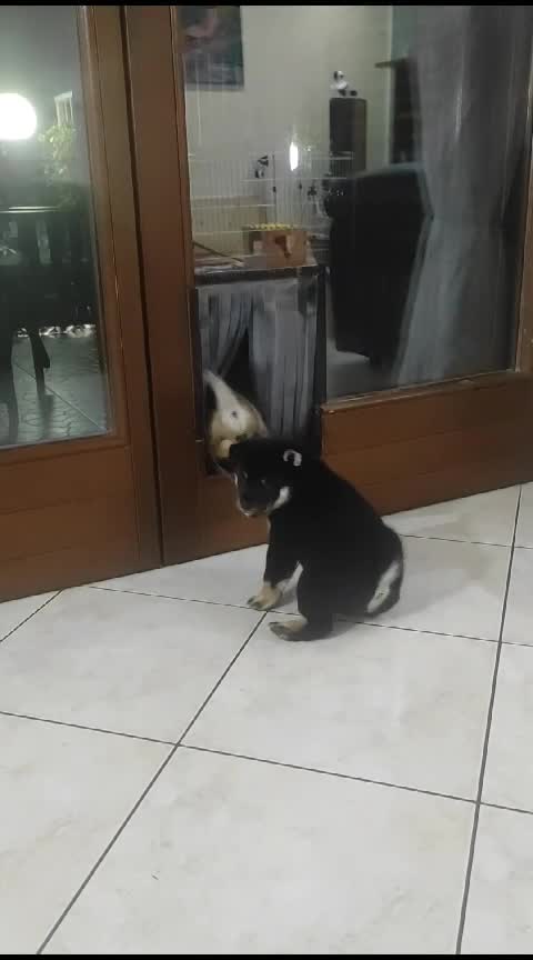 Uscire in giardino in autonomia