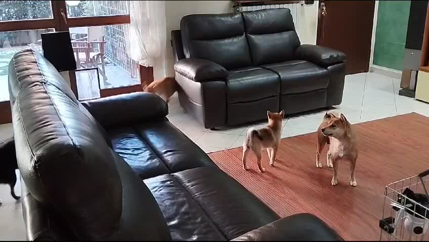 Socializzare tutti insieme