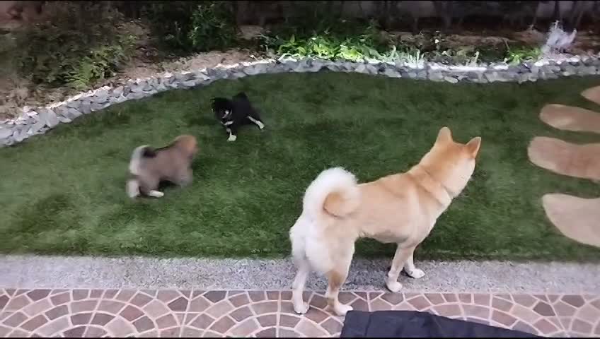 Prime uscite in giardino