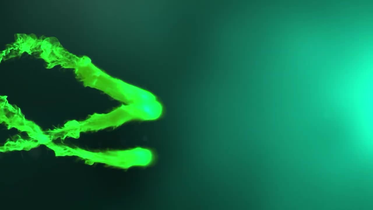 Shimai Vs Kioshi Accoppiamento Shiba Inu