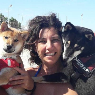 il mio Canale youtube image