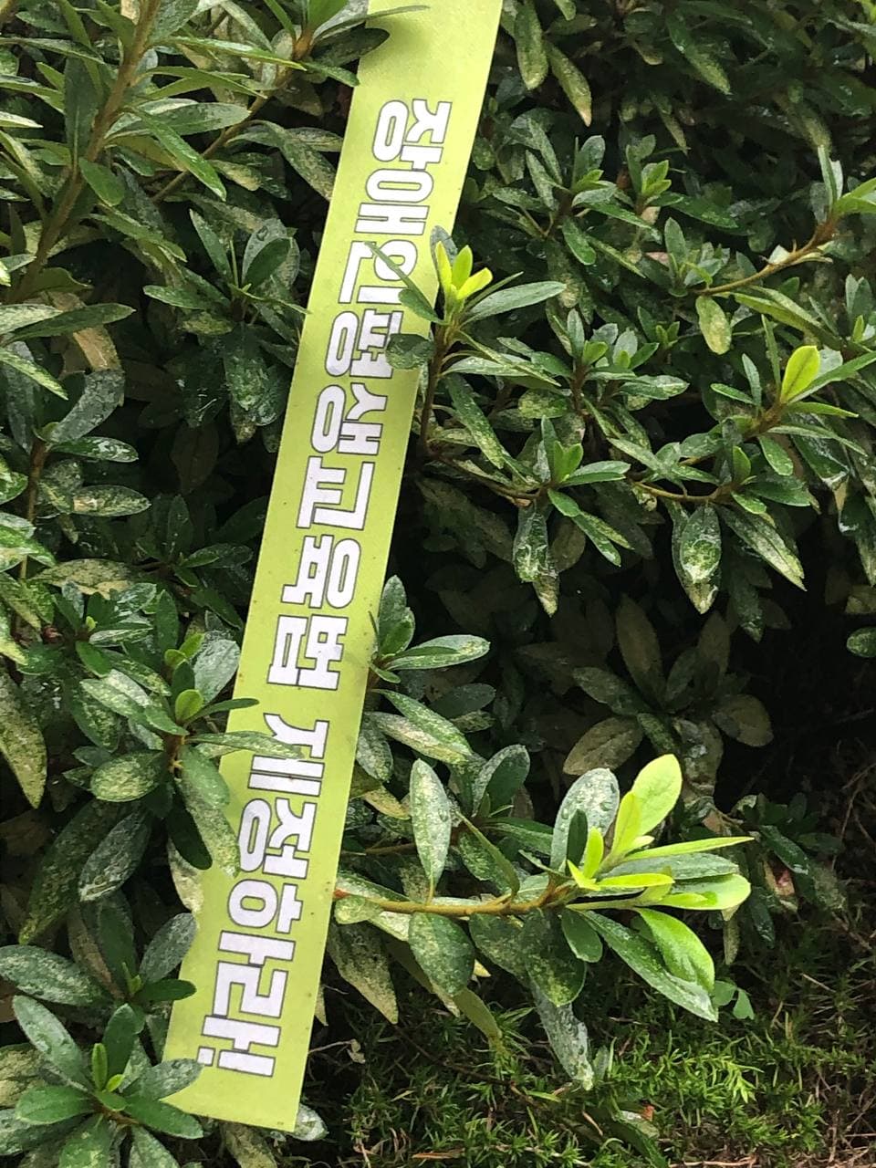 이 세상은 사람과 사람 그리고 또 사람으로 이루어져있다 | 강다은
