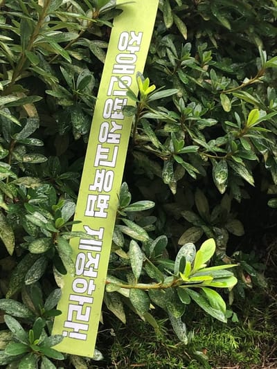 이 세상은 사람과 사람 그리고 또 사람으로 이루어져있다 | 강다은
