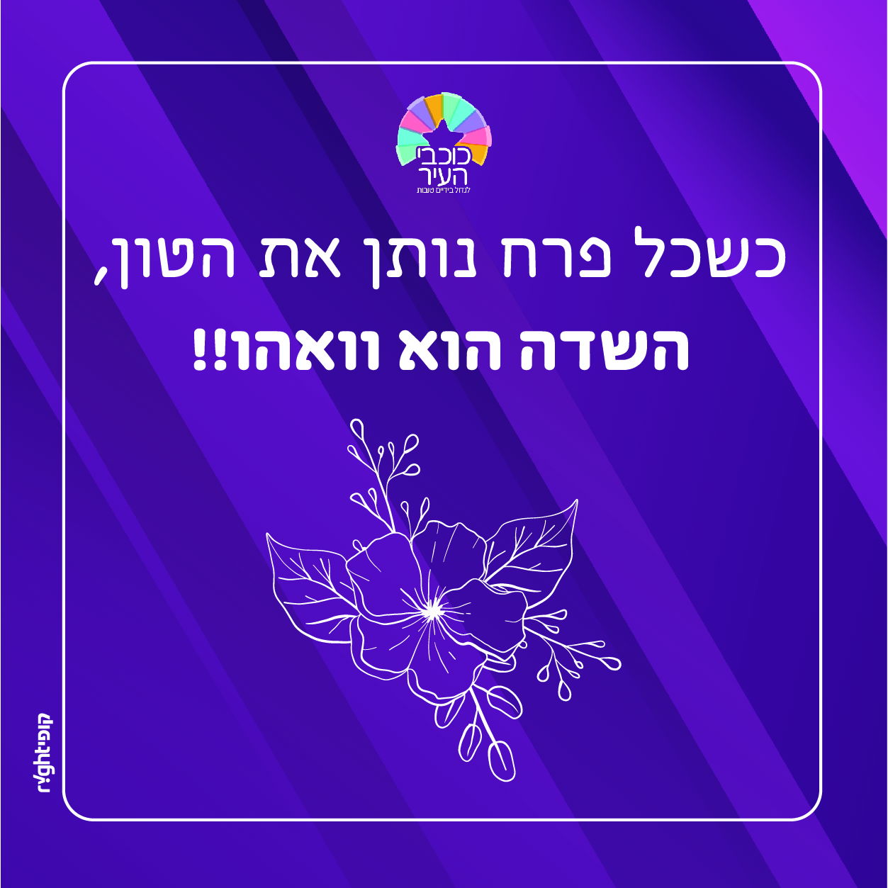 שווה לעבוד בכוכבי העיר:)