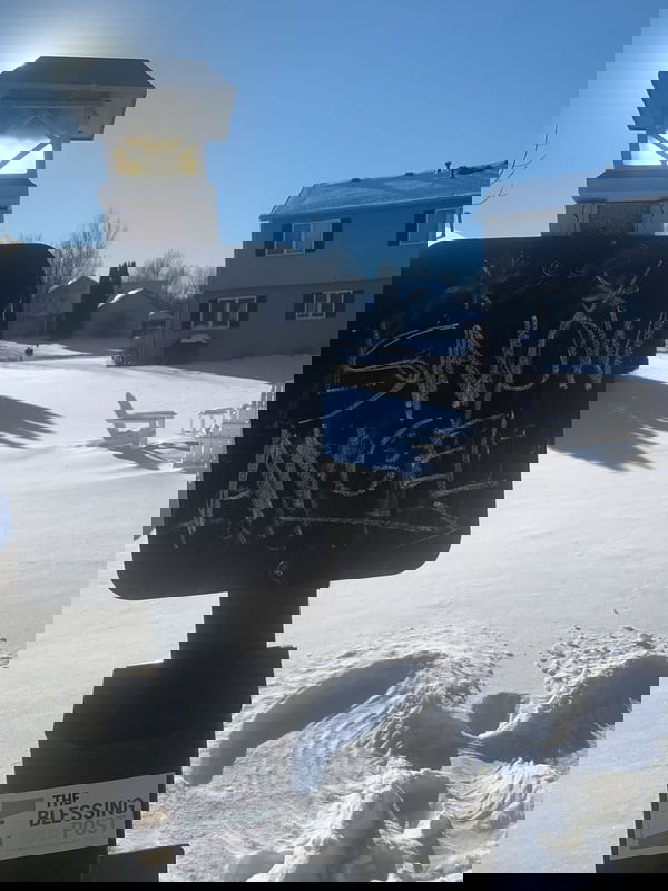 A visit from a Snow Angel