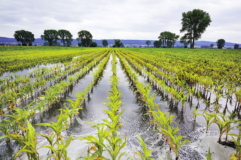 What is Waterlogging?