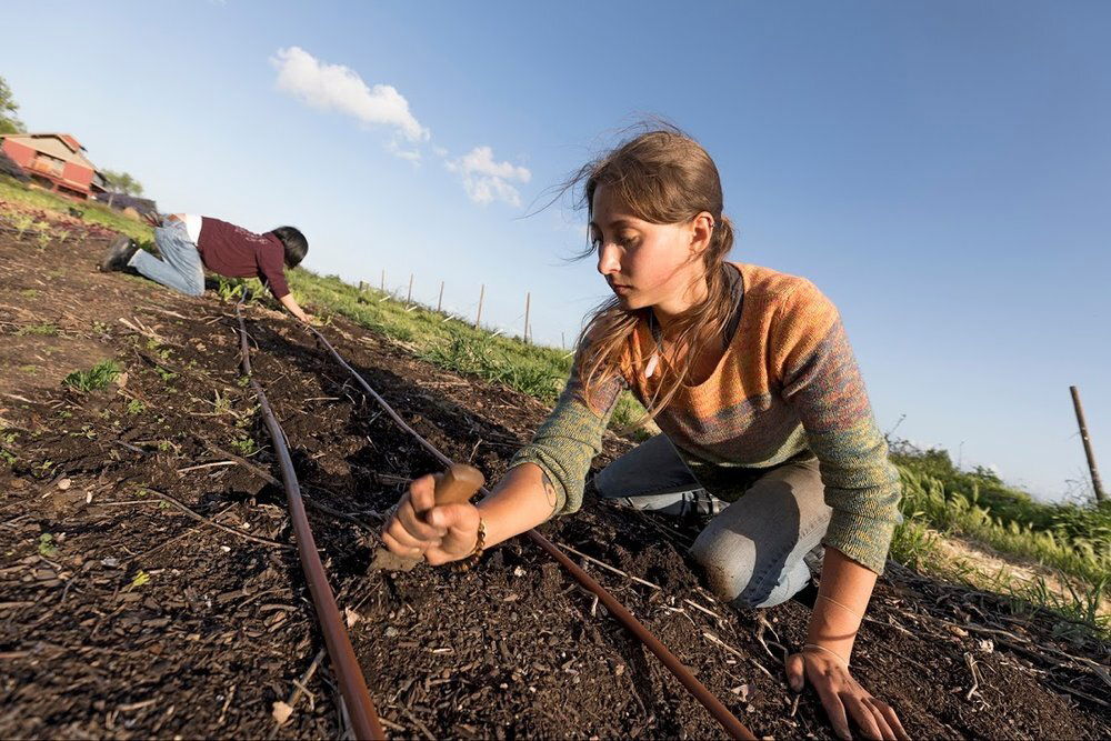 What is No-Till (Zero-Tillage) Farming?