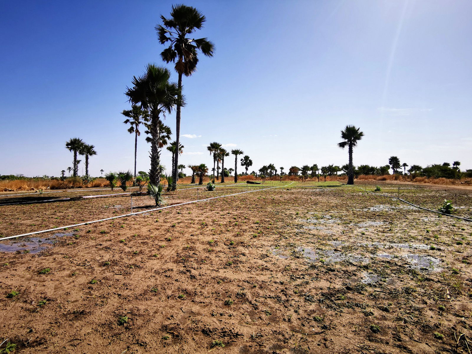 Développement, soutien et formations pour que les villages soient indépendants pour lutter contre le paludisme.