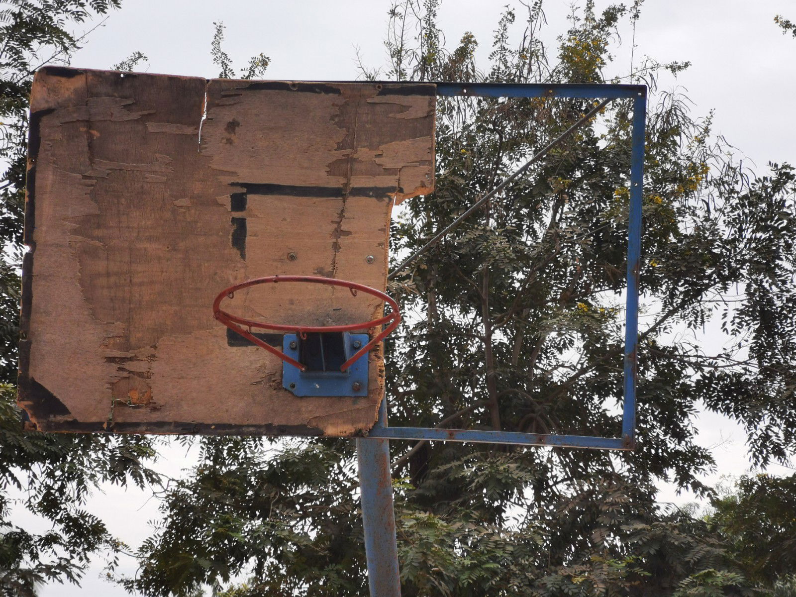 Voici nos actions dans la zone de Ziguinchor. 