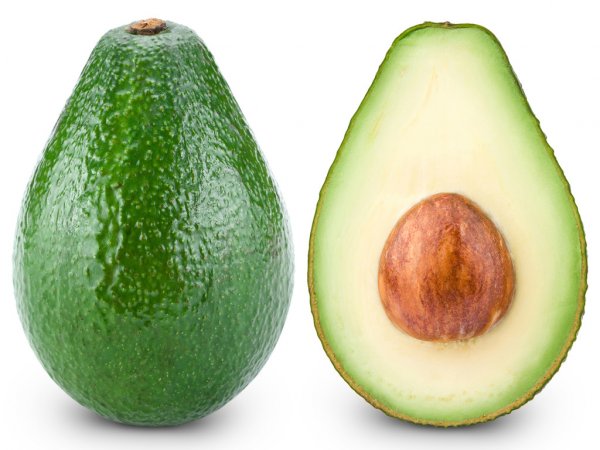 BENEFICIOS DE LA PALTA