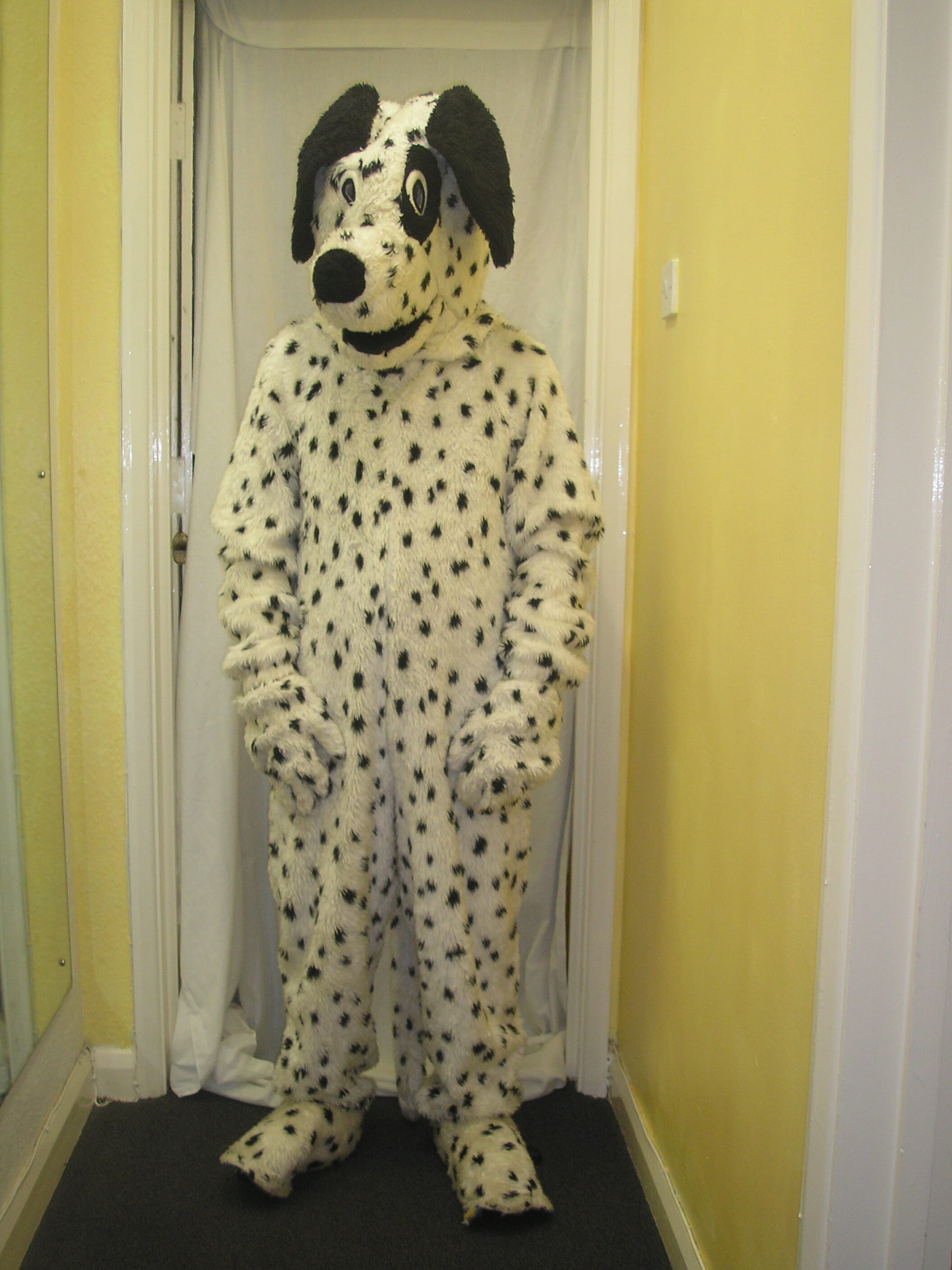 330 Dalmatian