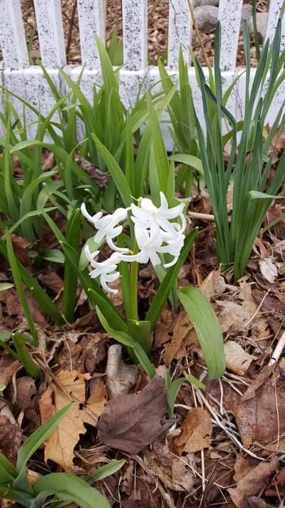                   2026 - 2027 Calendar image