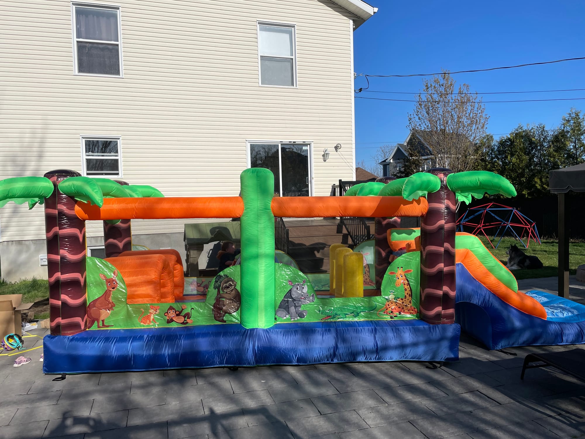 Jungle race - course à obstacles