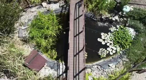 Drohnen Rundflug