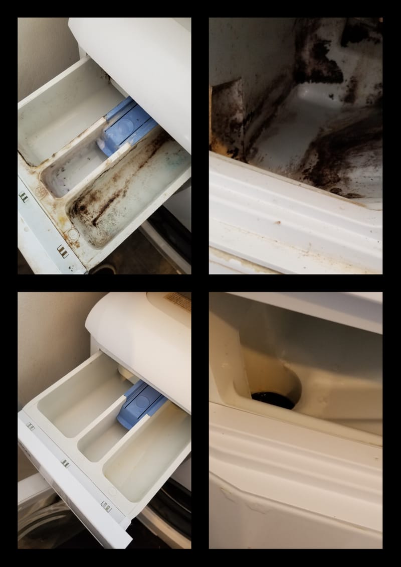 KITCHEN APPLIANCE SANITIZING