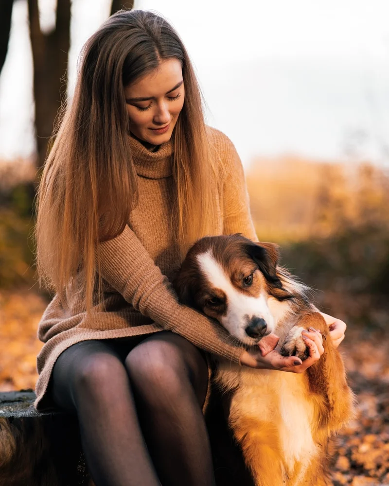 der beste Freund des Menschen