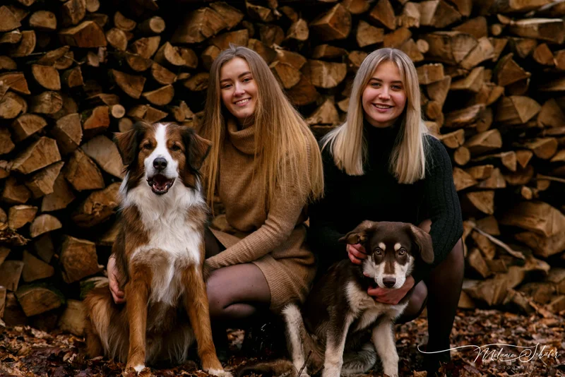 der beste Freund des Menschen