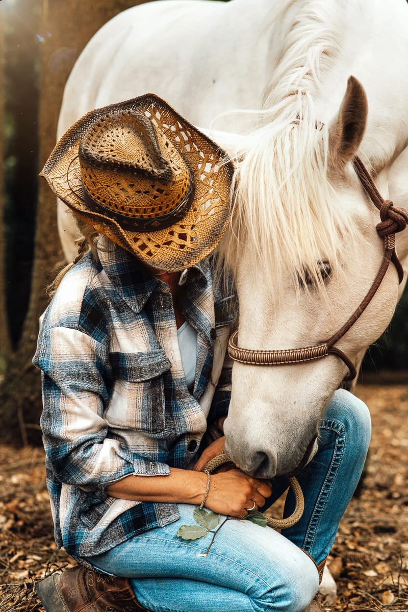 der beste Freund des Menschen