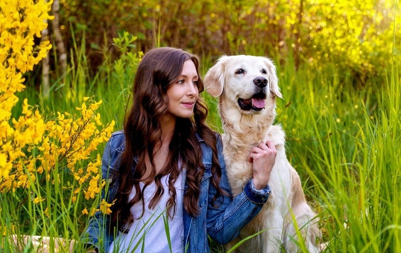 der beste Freund des Menschen