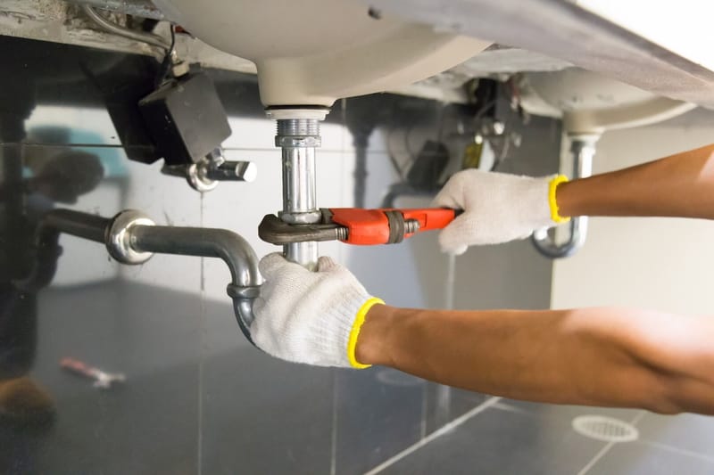 Services We Provide