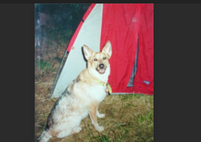 CHAUCER'S CORNER (PERSONAL BLOG ARTICLES)