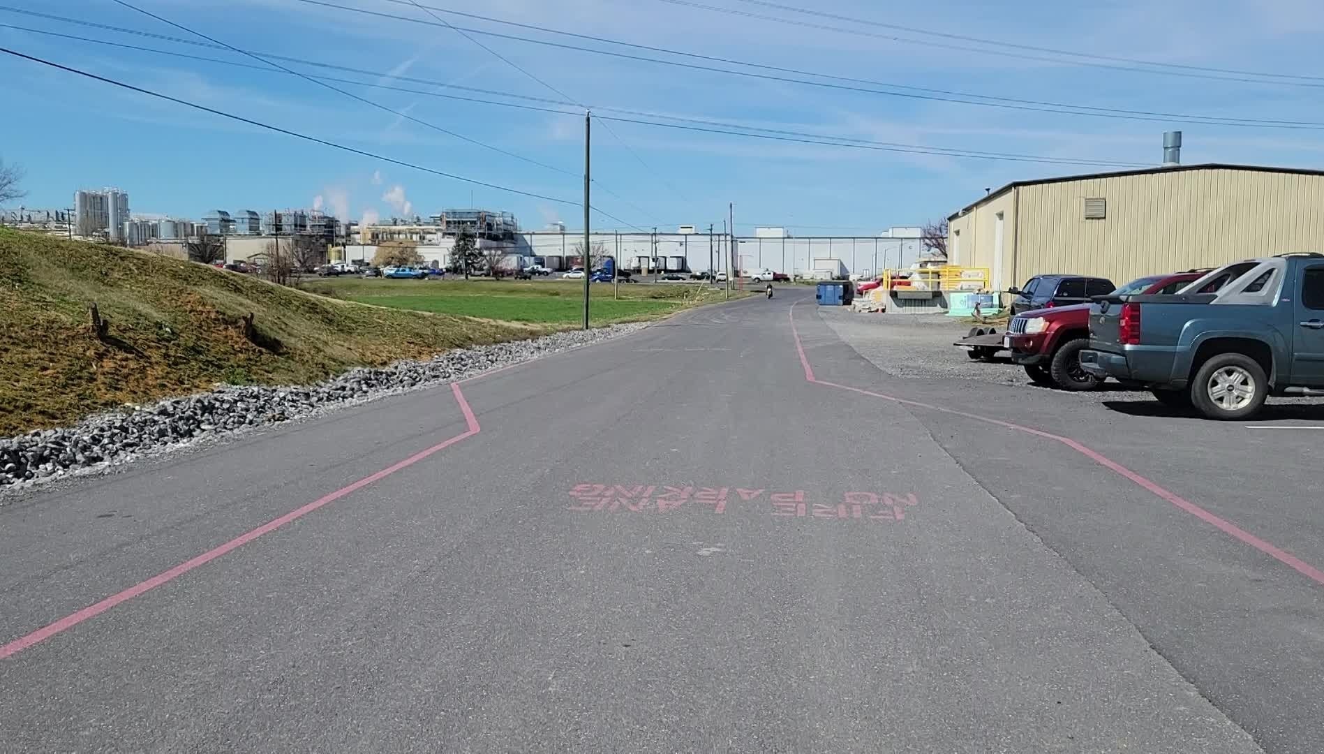 Honda Monkey turned Gorilla