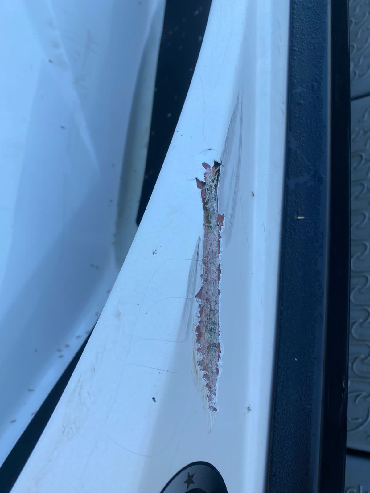 Jet Ski Repair