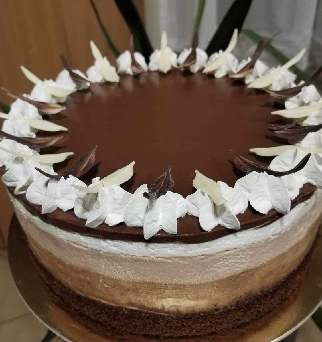 Triplacsoki mousse torta