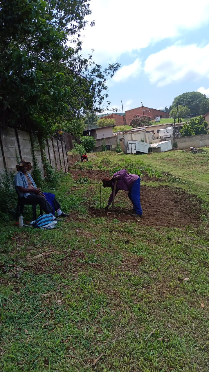 NUTRITION FOOD AND FOOD SECURITY