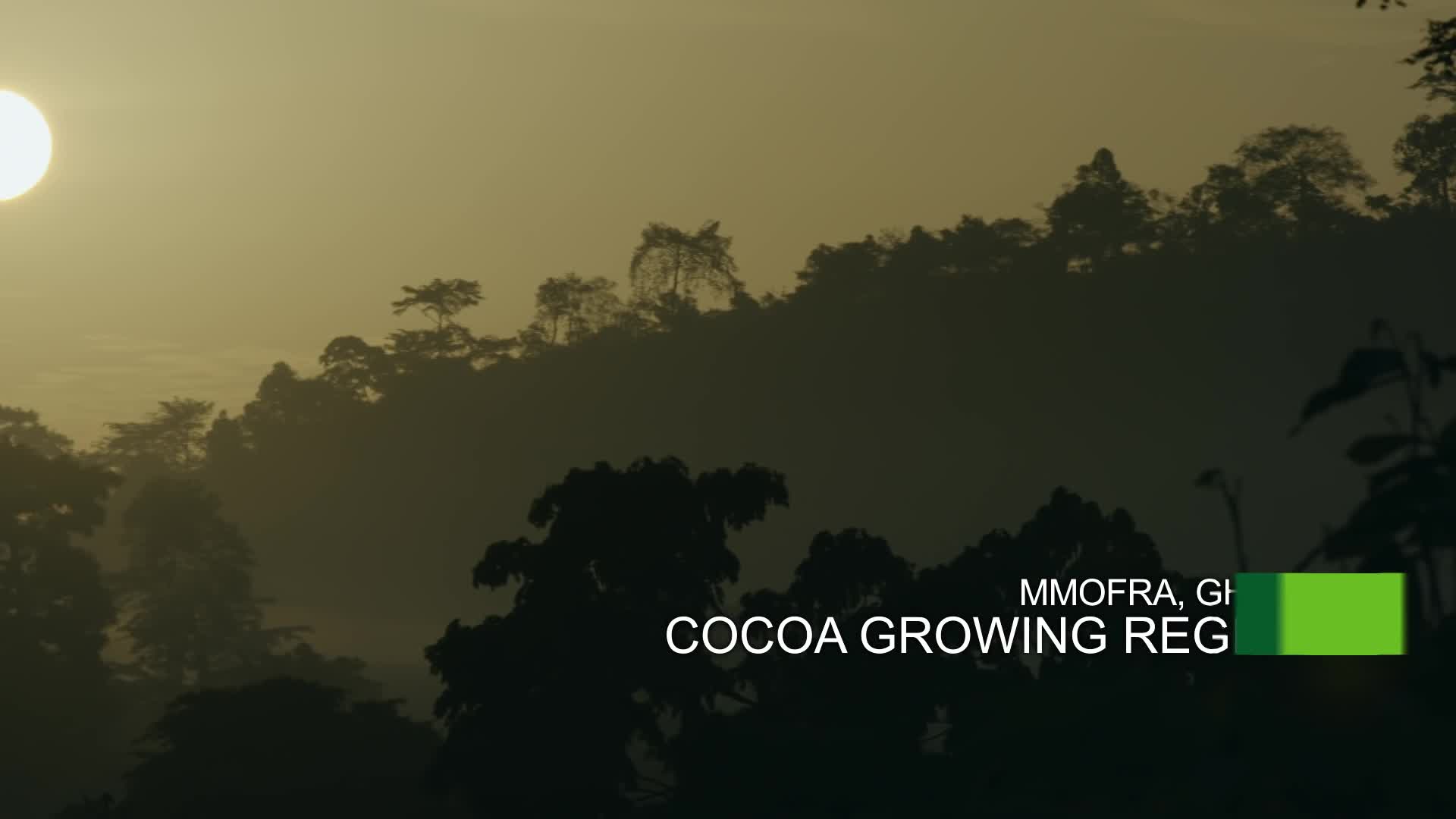 Cocoa in West Africa