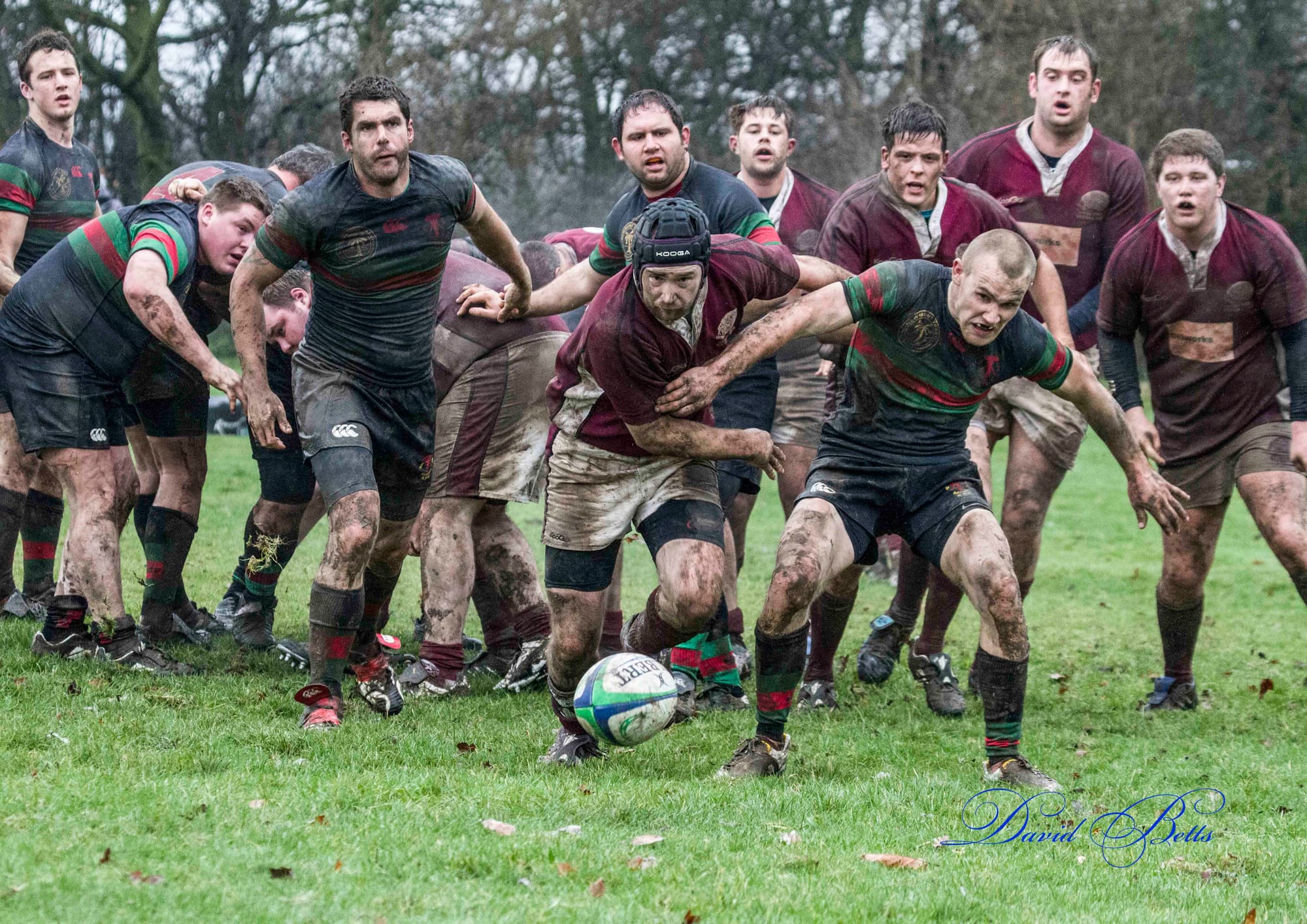 Local Rugby