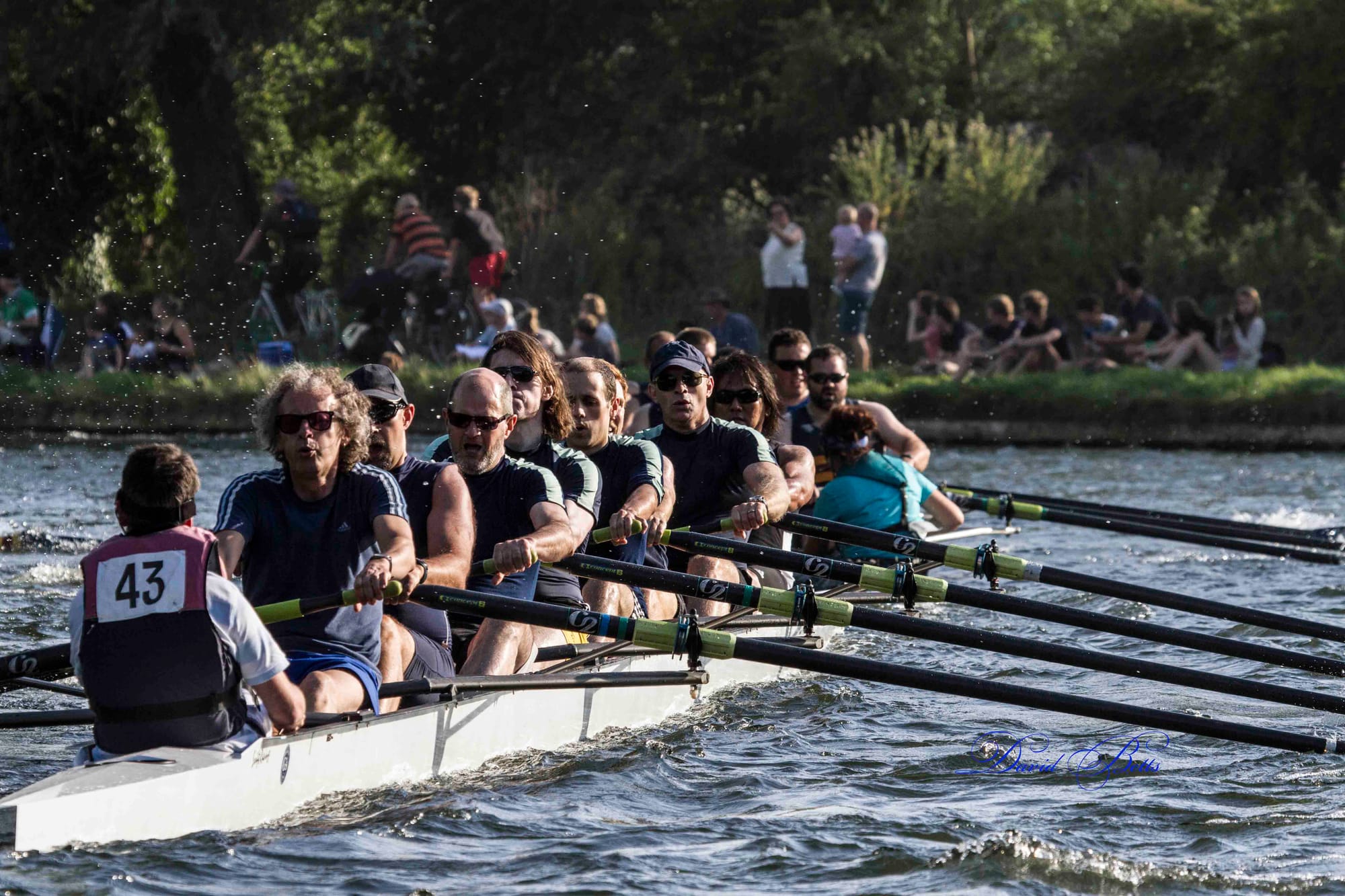 Rowing into grassy