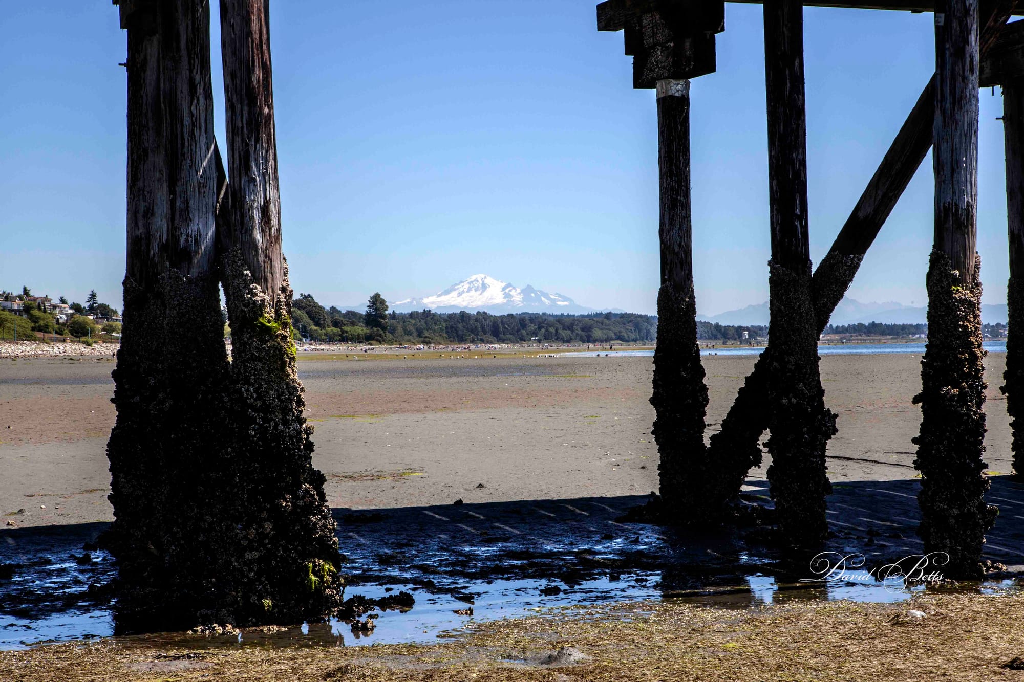 Mount Baker, Washington State, USA