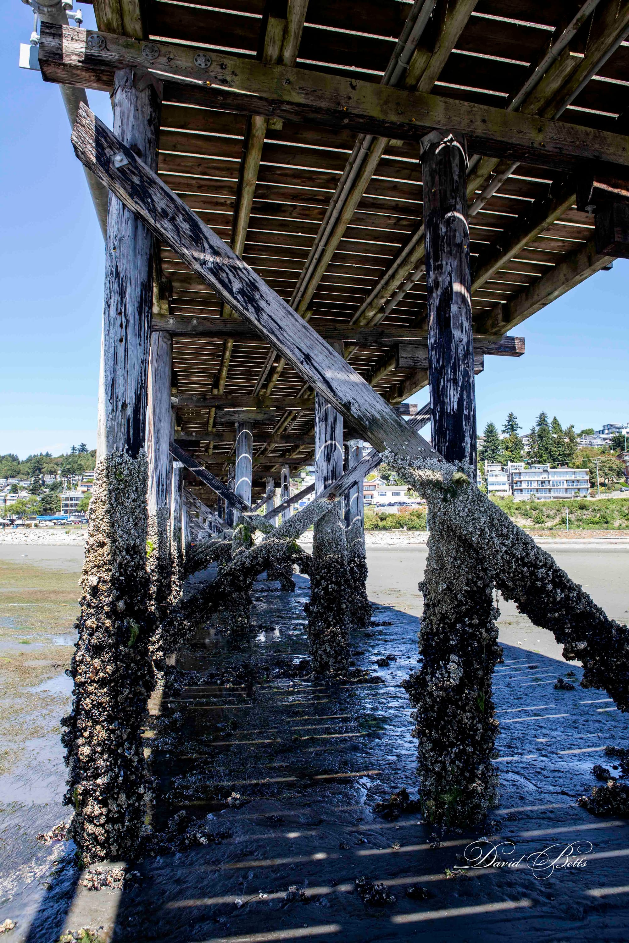 Under the Jetty -2