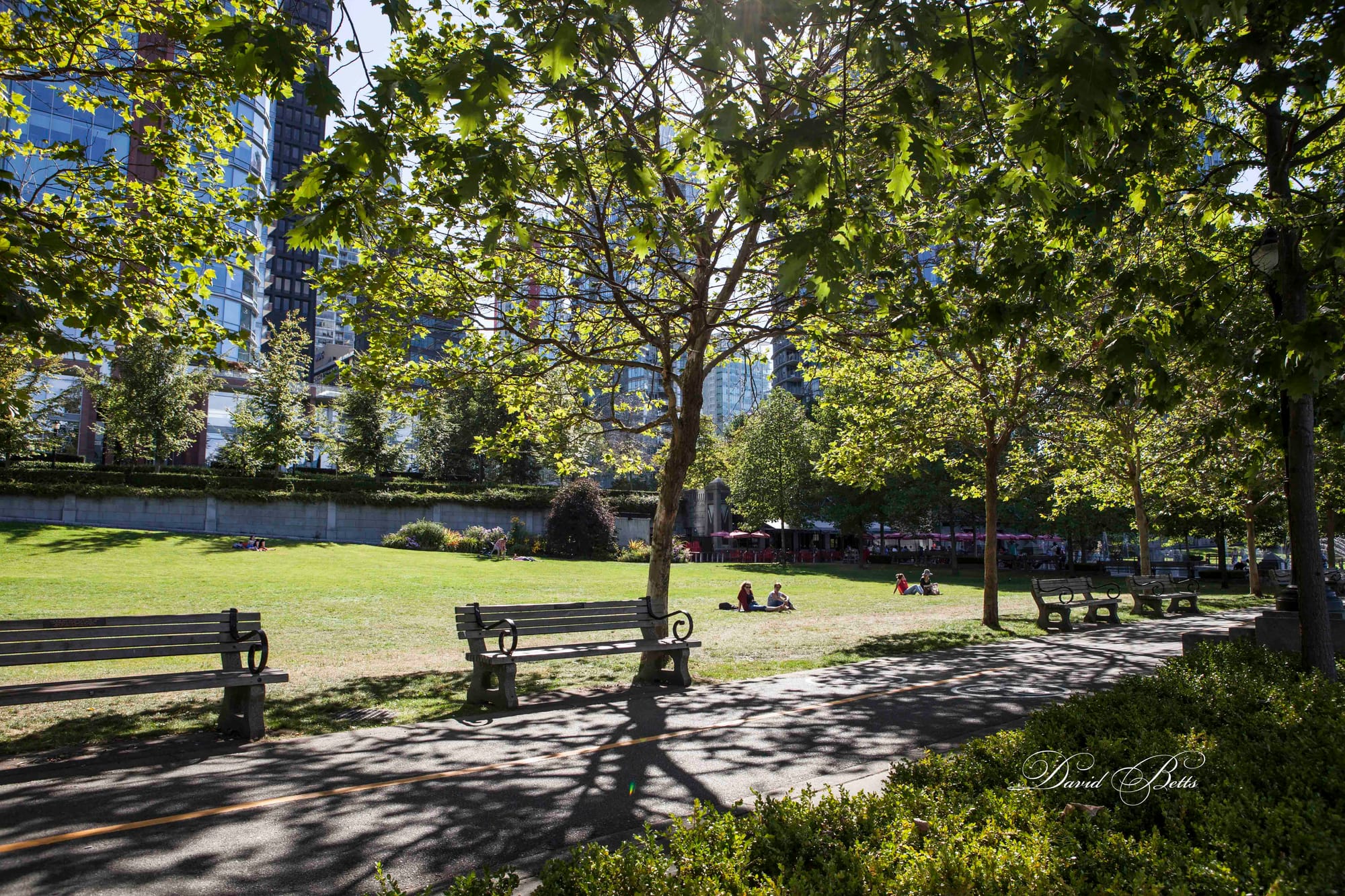 Gardens surround the skyscrapers