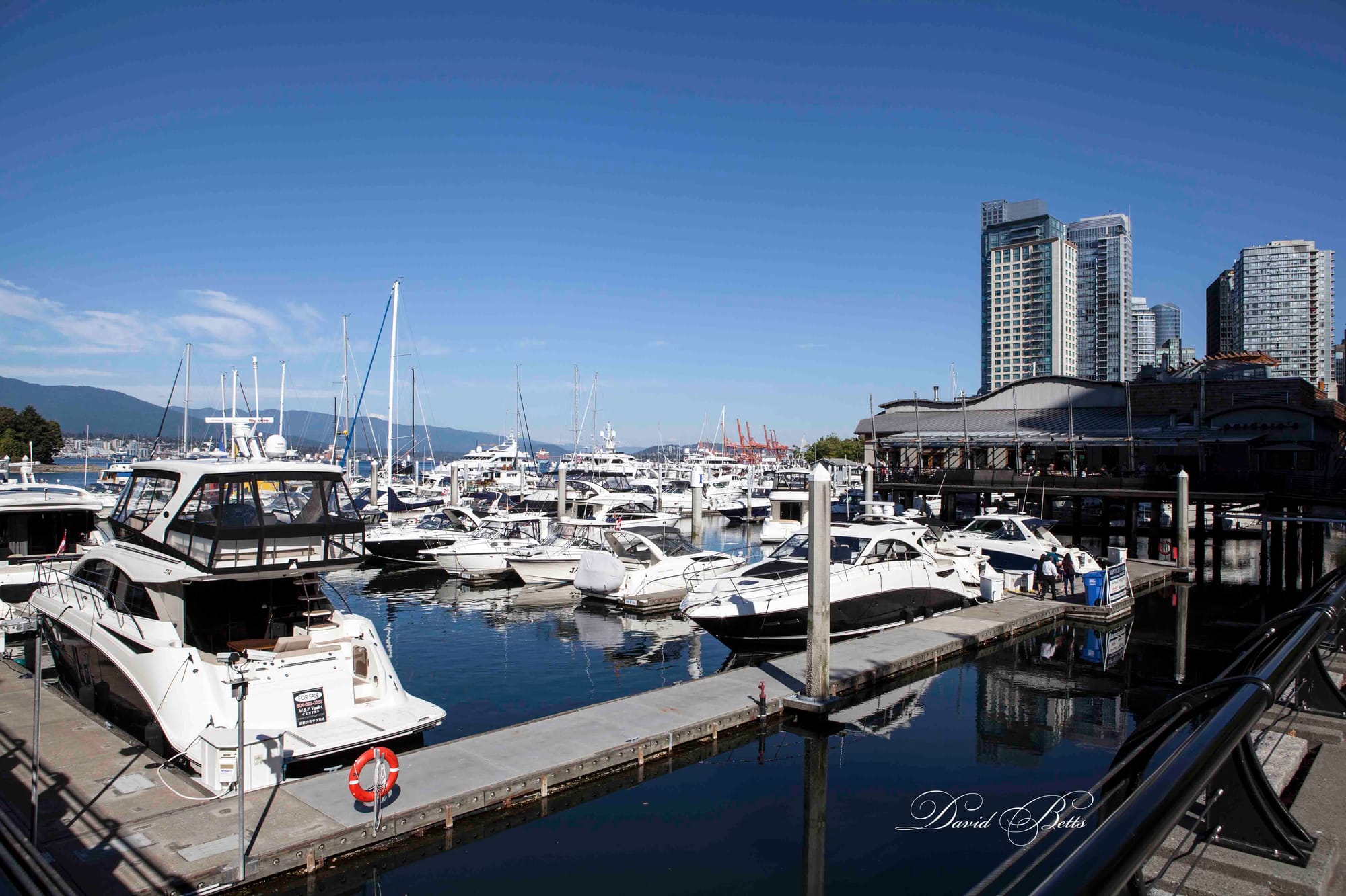 Luxury Boats next to Luxury Apartments..