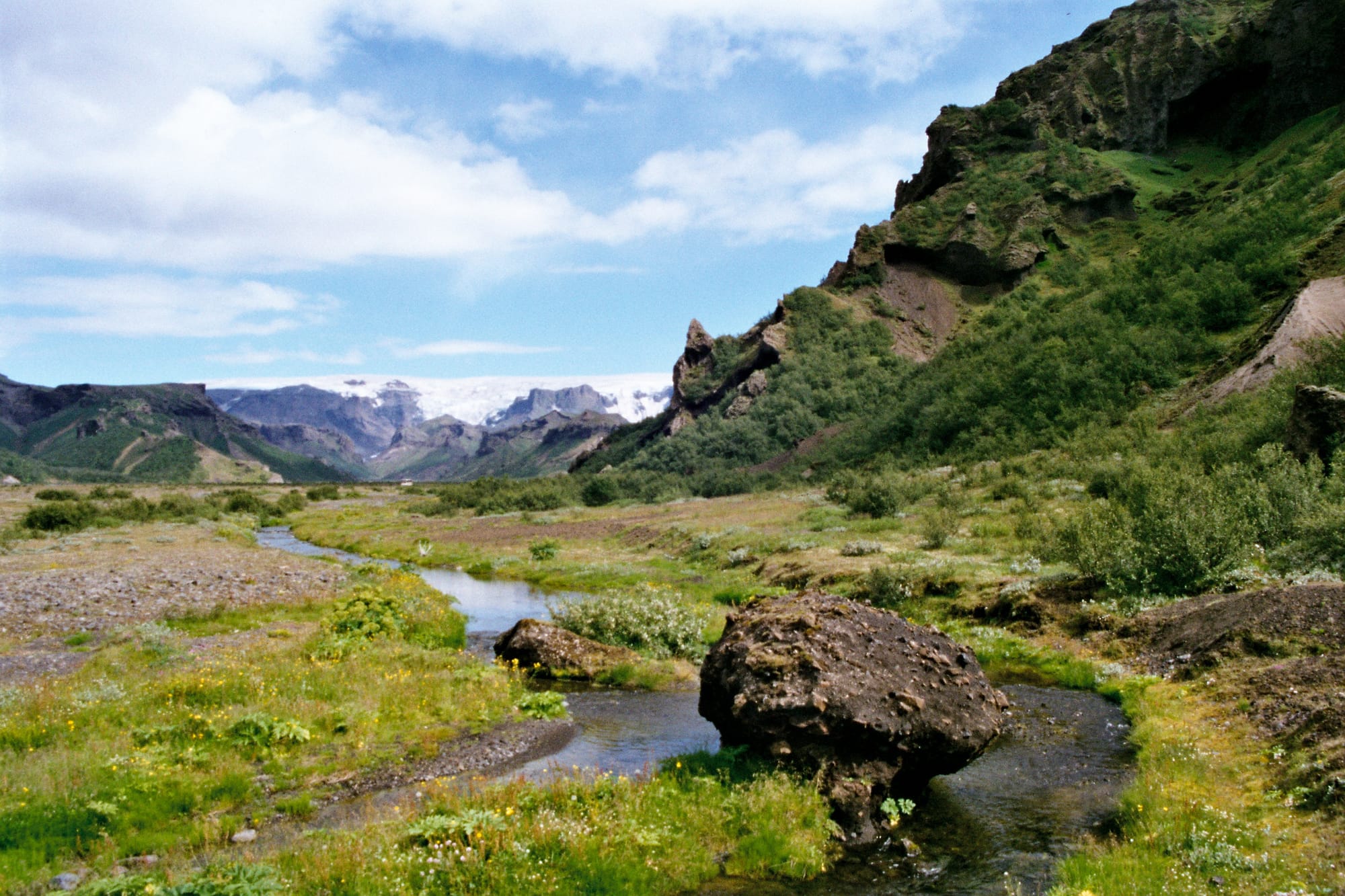 Nearby grassland