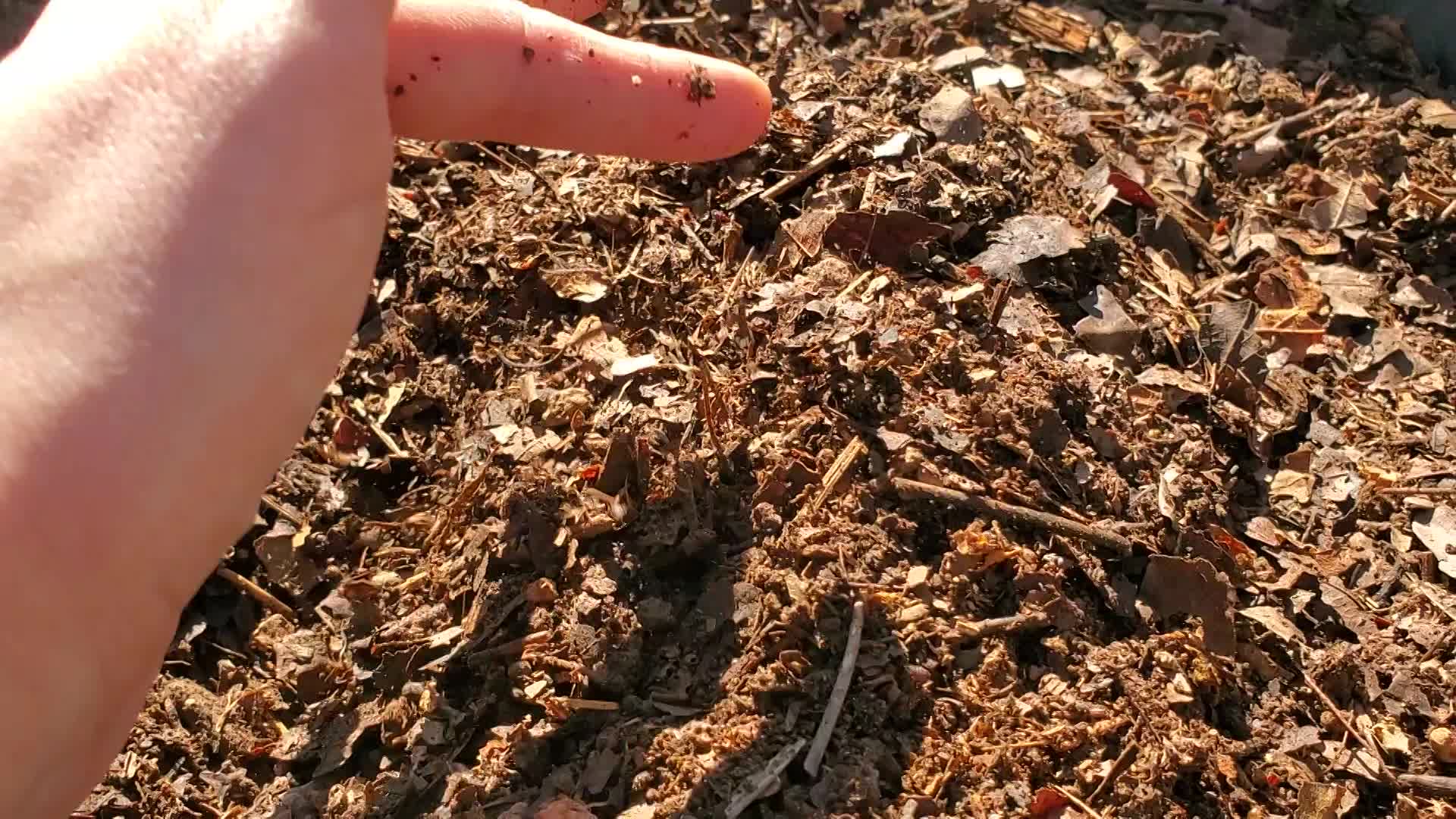 Compost!