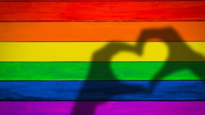 16th Journal Article