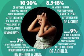 30th Journal Article