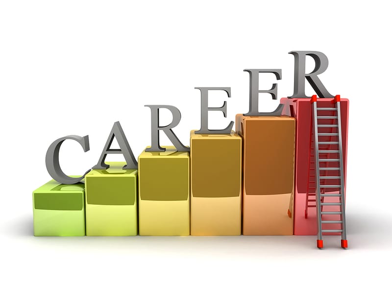 Professional Practice & Development