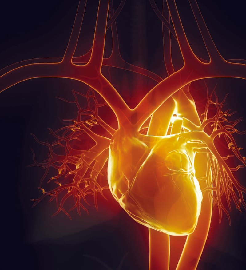 3rd Annual Aortic Symposium