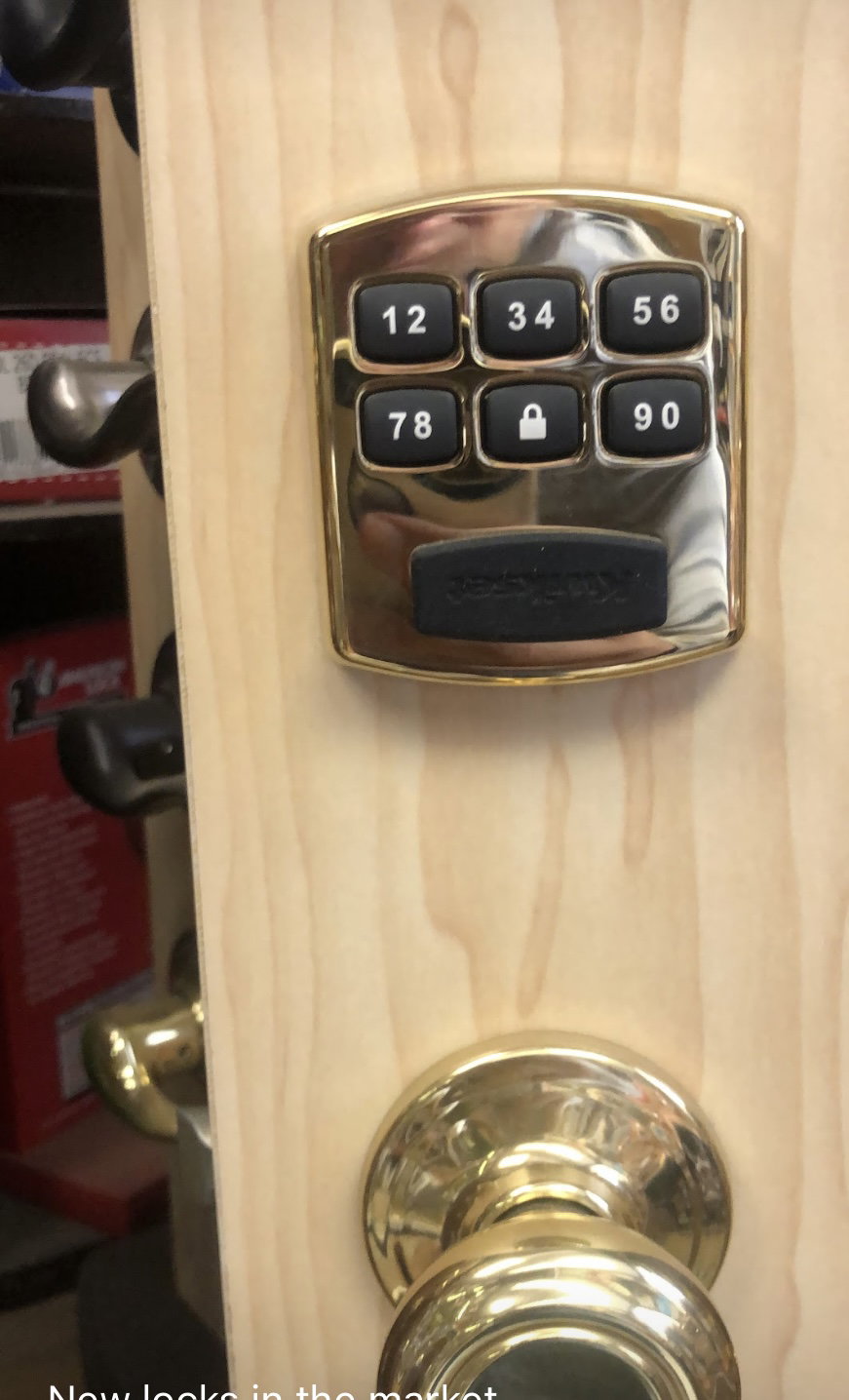 Professional Locksmith