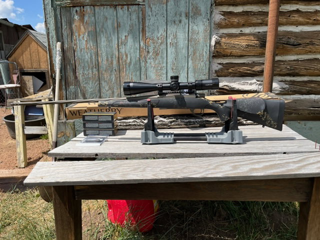 Talus Tree Scope 6.5 - 300 Weatherby VGD Talus with Scope and Ammo - Teller...