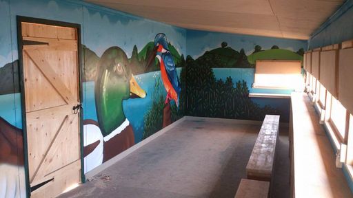 Teifi Marshes Nature Reserve