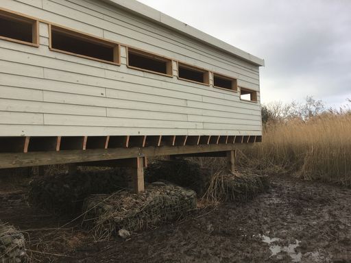 Teifi Marshes Nature Reserve