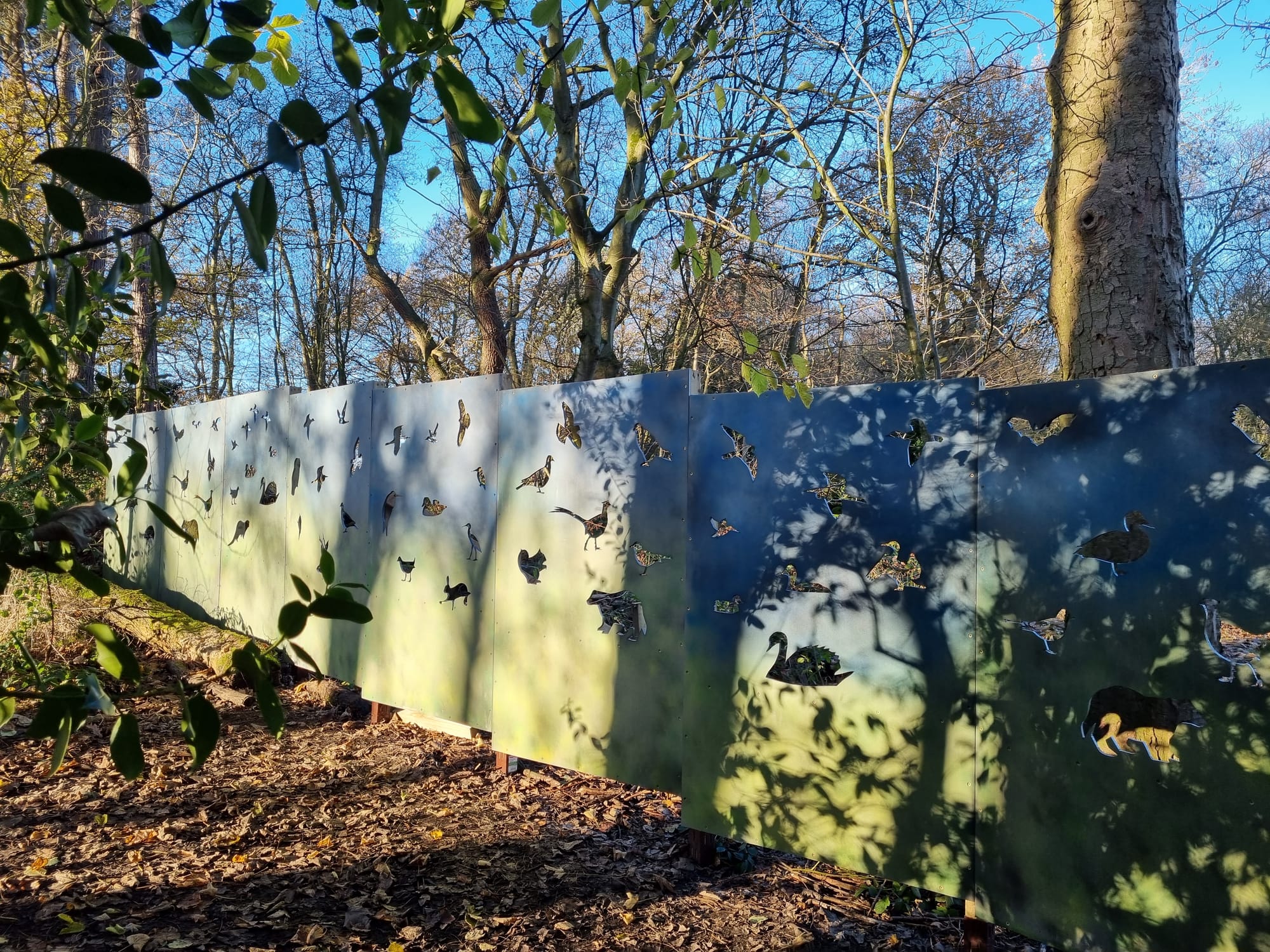 Viewing Screens with Animal Art Silhouettes