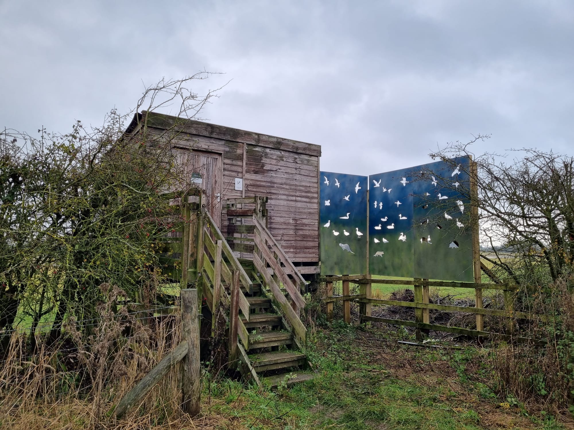 Viewing Screens with Animal Art Silhouettes