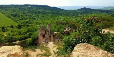 über die Gegend image